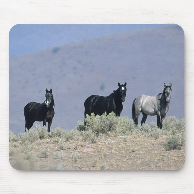 Alfombrilla De Ratón Caballos salvajes del mustango en el desierto 3 (Frente)