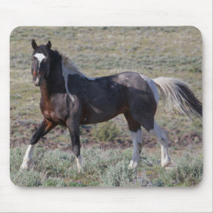 Alfombrilla De Ratón Caballos salvajes después de un baño de polvo