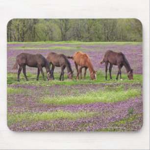 Alfombrilla De Ratón Caballos tosados en el campo de las flores de henb