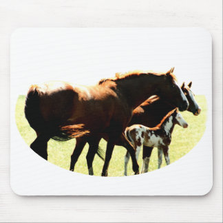 Alfombrilla De Ratón Caballos y Fotografía