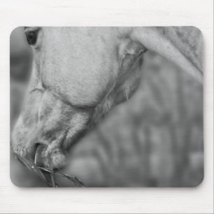 Alfombrilla De Ratón Cabeza de caballo B&W ~ Mousepad