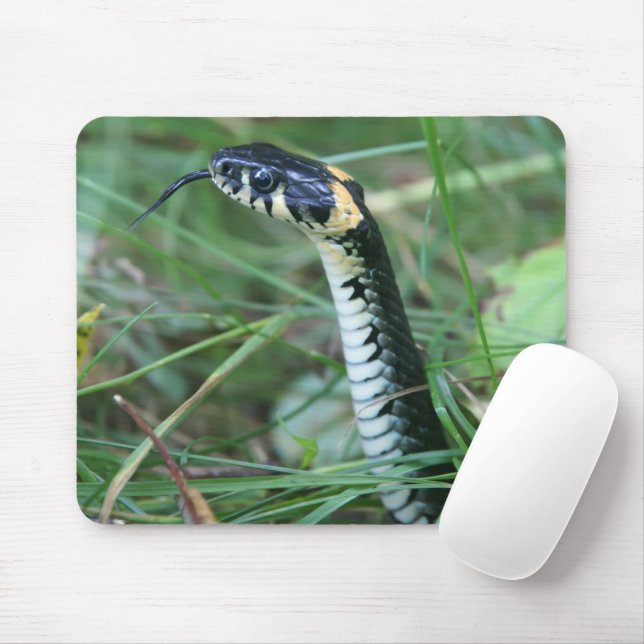 Alfombrilla De Ratón Cabeza de serpiente (Con ratón)