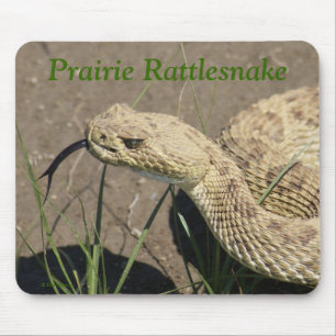 Alfombrilla De Ratón Cabeza de serpiente de cascabel de pradera R8