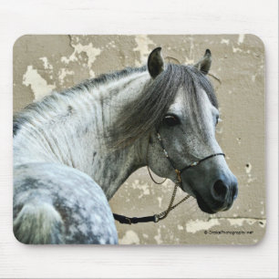 Alfombrilla De Ratón Cabeza gris de caballo