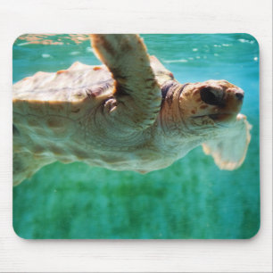 Alfombrilla De Ratón Cabezal de Loggerhead #1 Mousepad