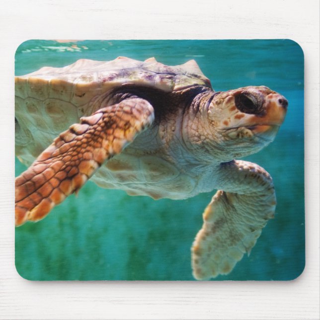 Alfombrilla De Ratón Cabezal de Loggerhead #2 Mousepad (Frente)