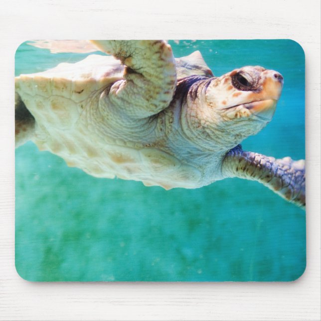 Alfombrilla De Ratón Cabezal de Loggerhead #3 Mousepad (Frente)