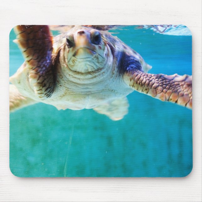 Alfombrilla De Ratón Cabezal de Loggerhead #4 Mousepad (Frente)