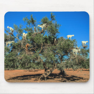 Alfombrilla De Ratón Cabras divertidas en el Marruecos de los árboles