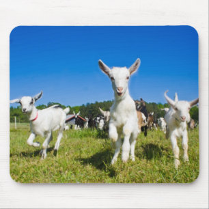 Alfombrilla De Ratón Cabras Mousepad del bebé