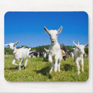 Alfombrilla De Ratón Cabras Mousepad del bebé