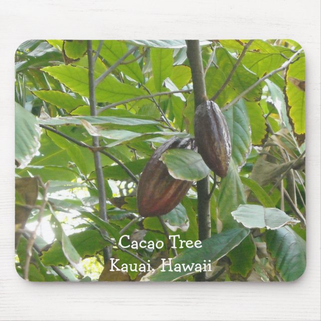 Alfombrilla De Ratón Cacao Tree, Kauai, Hawaii (Frente)