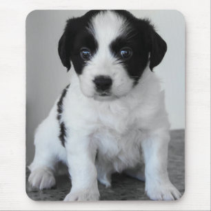 Alfombrilla De Ratón Cachorro Adorable de Blanco y Negro