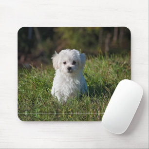 Alfombrilla De Ratón Cachorro blanco adorable