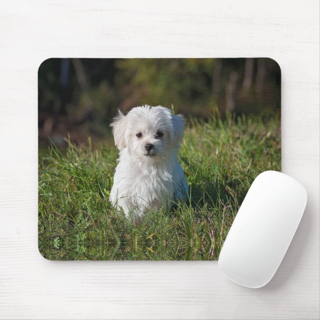 Alfombrilla De Ratón Cachorro blanco adorable (Con ratón)