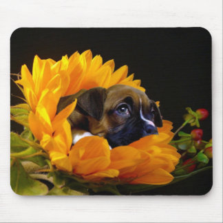 Alfombrilla De Ratón Cachorro boxer en tabique de girasol