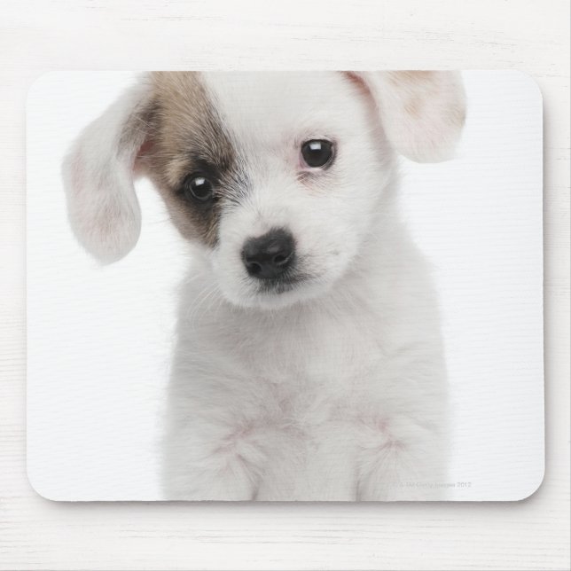 Alfombrilla De Ratón Cachorro cruzado (2 meses de edad) (Frente)