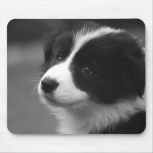 Alfombrilla De Ratón Cachorro de Border Collie