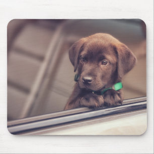 Alfombrilla De Ratón Cachorro De Chocolate En Coche