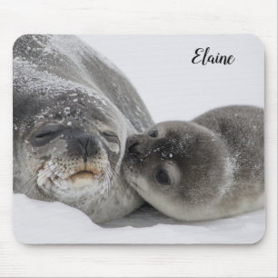 Alfombrilla De Ratón Cachorro de foca y mamá lindos
