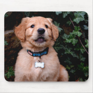 Alfombrilla De Ratón Cachorro de Golden Retriever