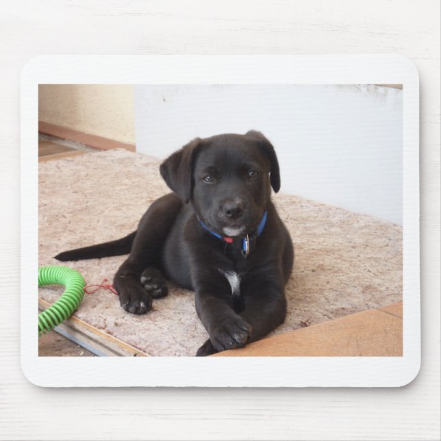 Alfombrilla De Ratón Cachorro de Labrador Negro (Frente)