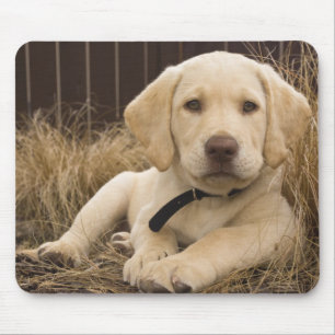Alfombrilla De Ratón cachorro de Labrador Retriever
