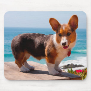 Alfombrilla De Ratón cachorro de Pembroke Welsh Corgi de pie en la mesa
