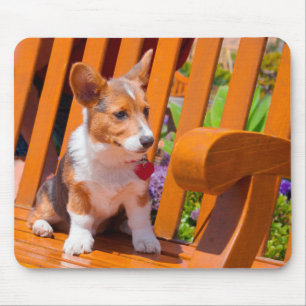 Alfombrilla De Ratón cachorro de Pembroke Welsh Corgi sentado en un ban