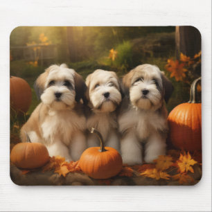 Alfombrilla De Ratón Cachorro de Terrier Tibetano Otoño Delicia Calabaz