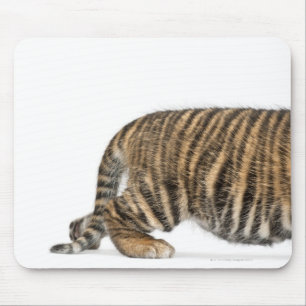 Alfombrilla De Ratón Cachorro de tigre de Sumatran 2