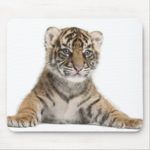 Alfombrilla De Ratón Cachorro de tigre de Sumatran - sumatrae del