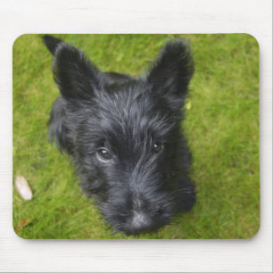 Alfombrilla De Ratón Cachorro guisante