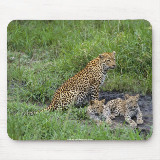 Alfombrilla De Ratón cachorro hermoso de los leopardos