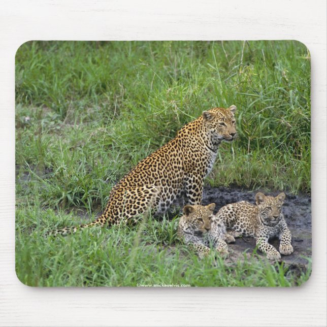 Alfombrilla De Ratón cachorro hermoso de los leopardos (Frente)