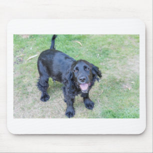 Alfombrilla De Ratón Cachorro negro