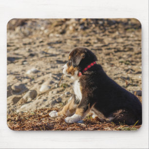 Alfombrilla De Ratón cachorro, perro de montaña bernese, playa