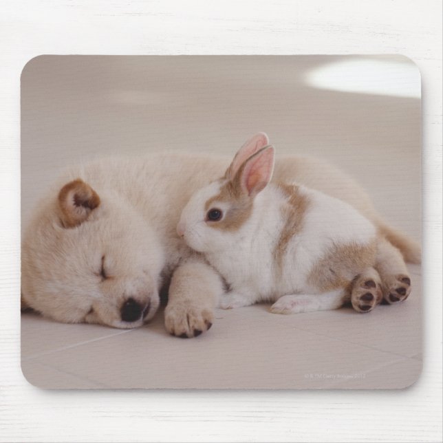 Alfombrilla De Ratón Cachorro y conejo (Frente)