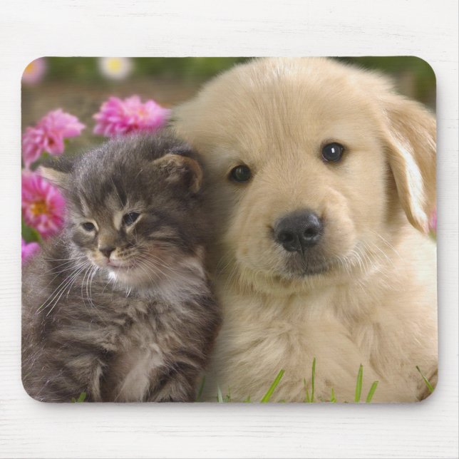 Alfombrilla De Ratón Cachorro y gatito lindos (Frente)