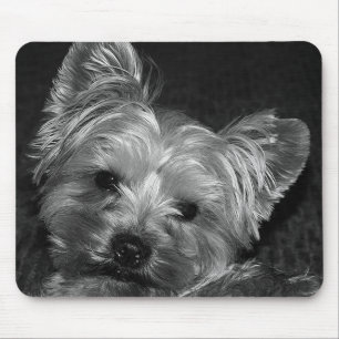 Alfombrilla de ratón cachorro Yorkshire Terrier de
