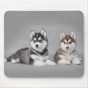 Alfombrilla De Ratón Cachorros caseros siberianos
