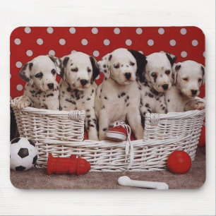 Alfombrilla De Ratón Cachorros dálmatos en un velo