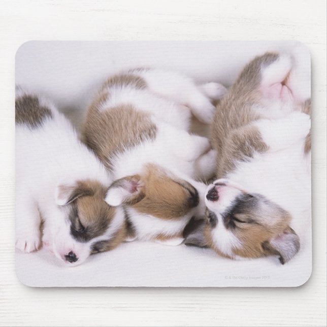 Alfombrilla De Ratón Cachorros de corgi soleado (Frente)