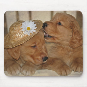 Alfombrilla De Ratón Cachorros de goofy Golden Retriever
