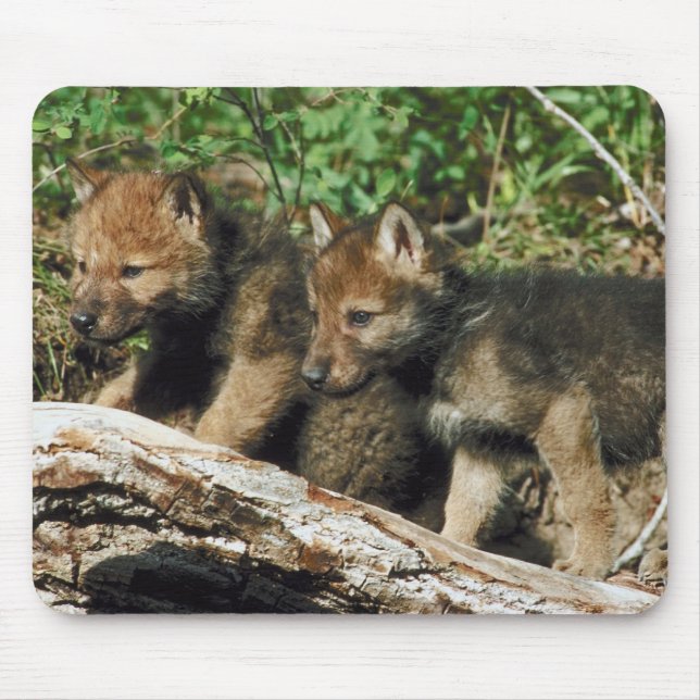 Alfombrilla De Ratón Cachorros de lobo (Frente)