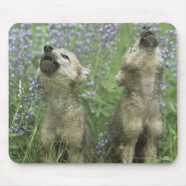 Alfombrilla De Ratón Cachorros De Lobo En Meadow (Frente)