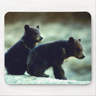 Alfombrilla De Ratón Cachorros de oso negro