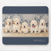 Cachorros de Retriever Dorado Personalizados Nombr