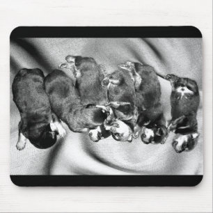 Alfombrilla De Ratón cachorros de rottweiler dormilón