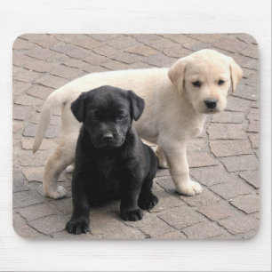 Alfombrilla De Ratón cachorros mousepad